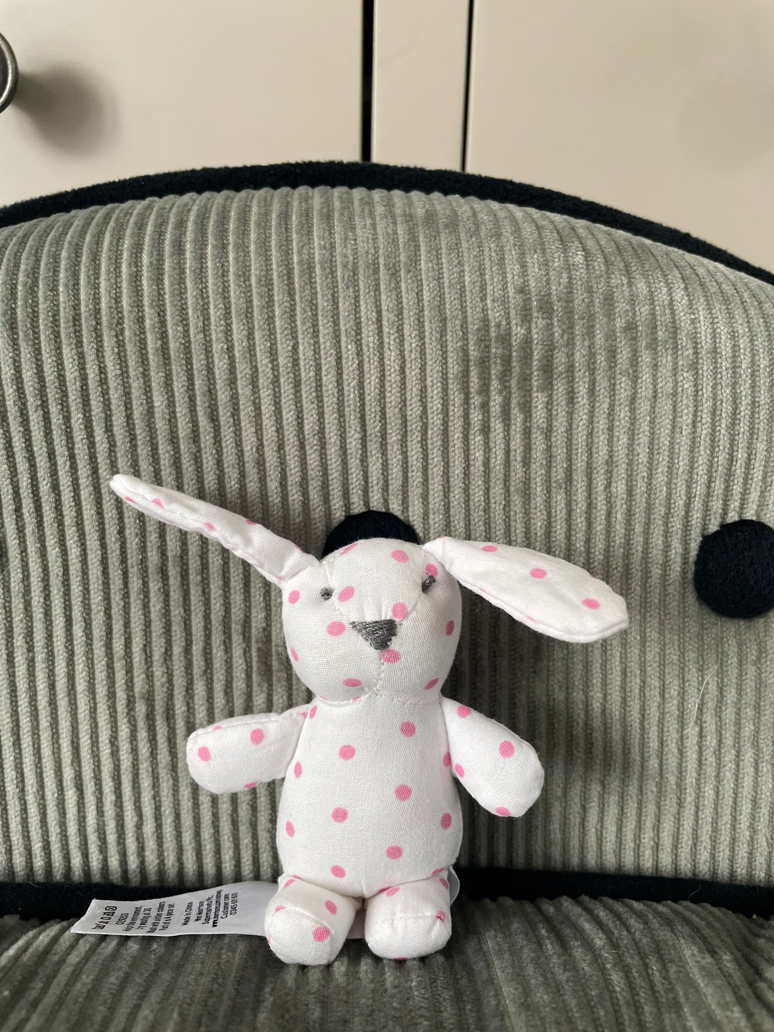 Dotty