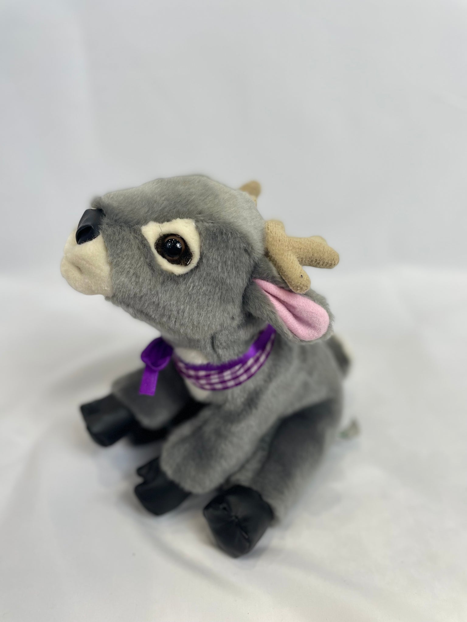 Dorothy Deer