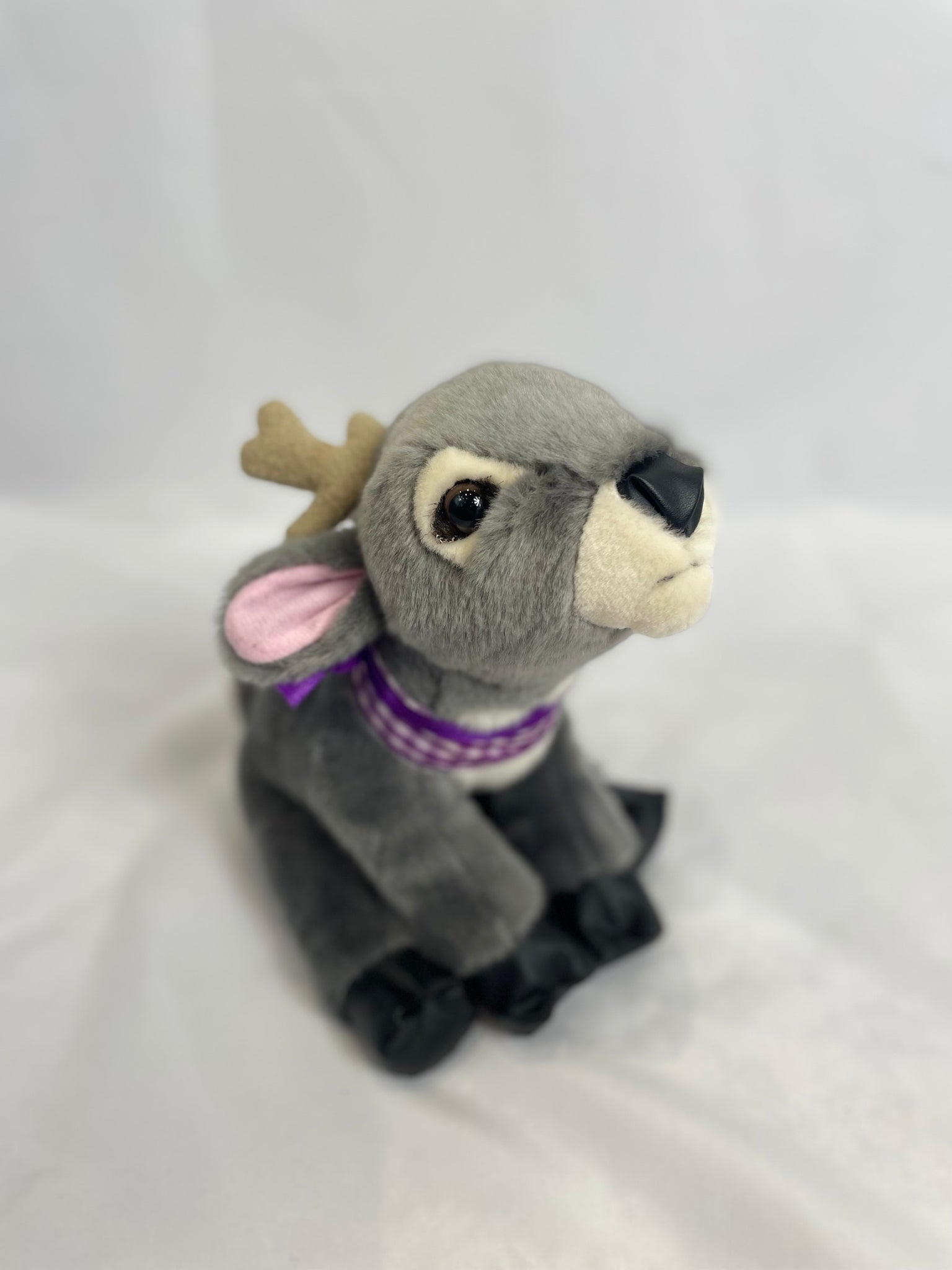 Dorothy Deer