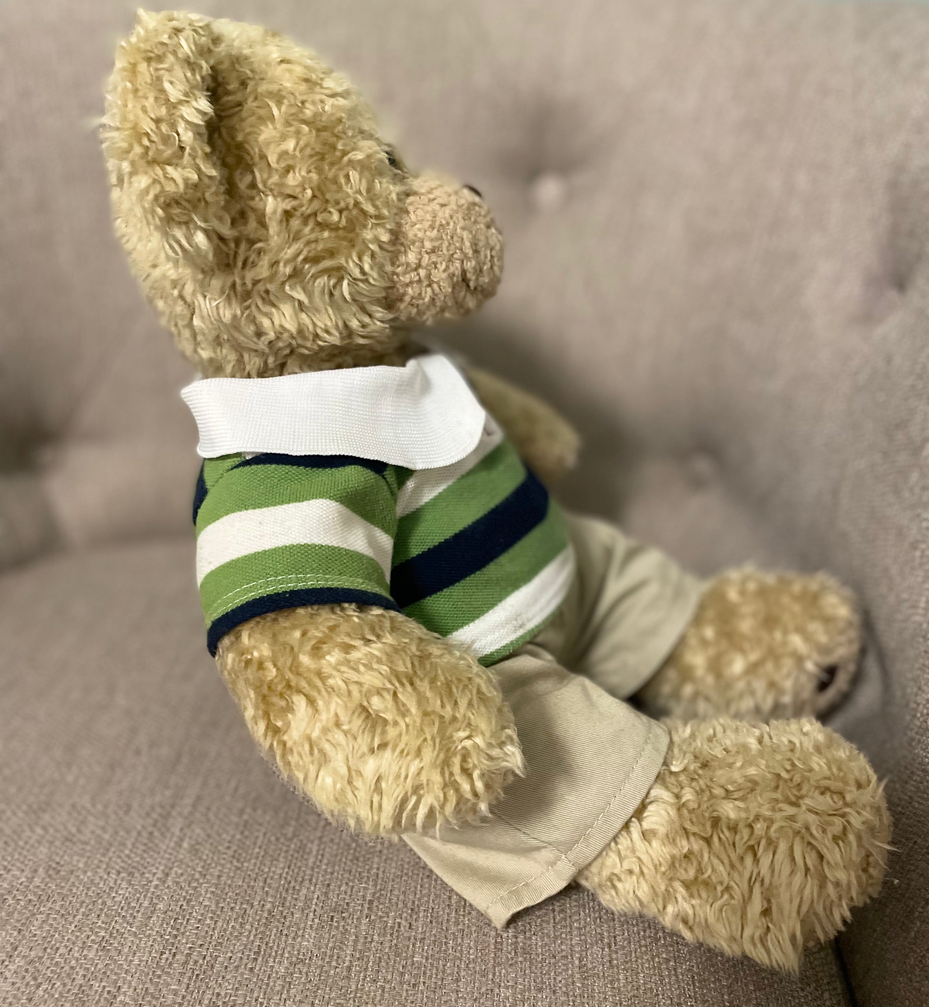 Sporty Bear