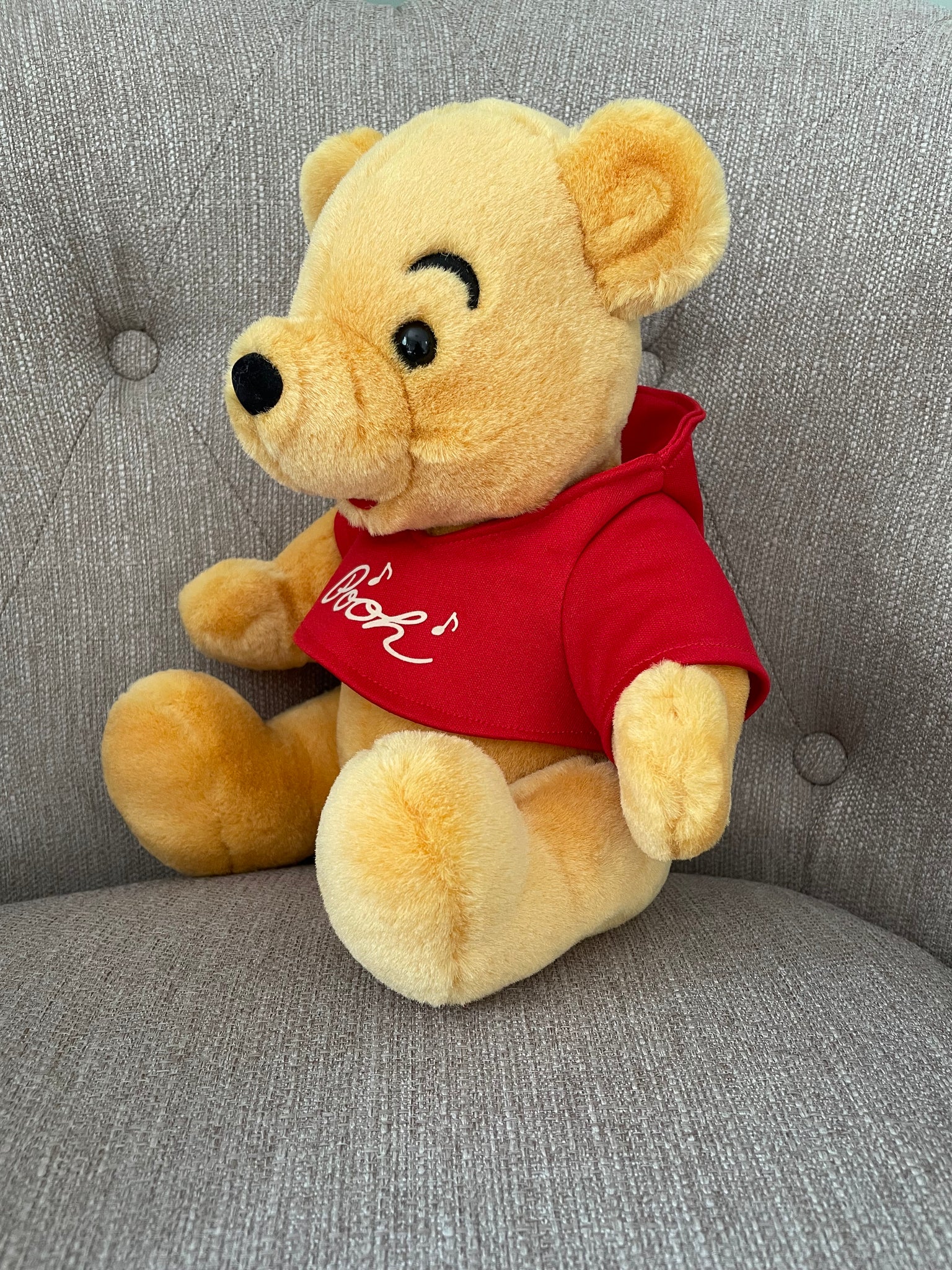 Winnie the Pooh