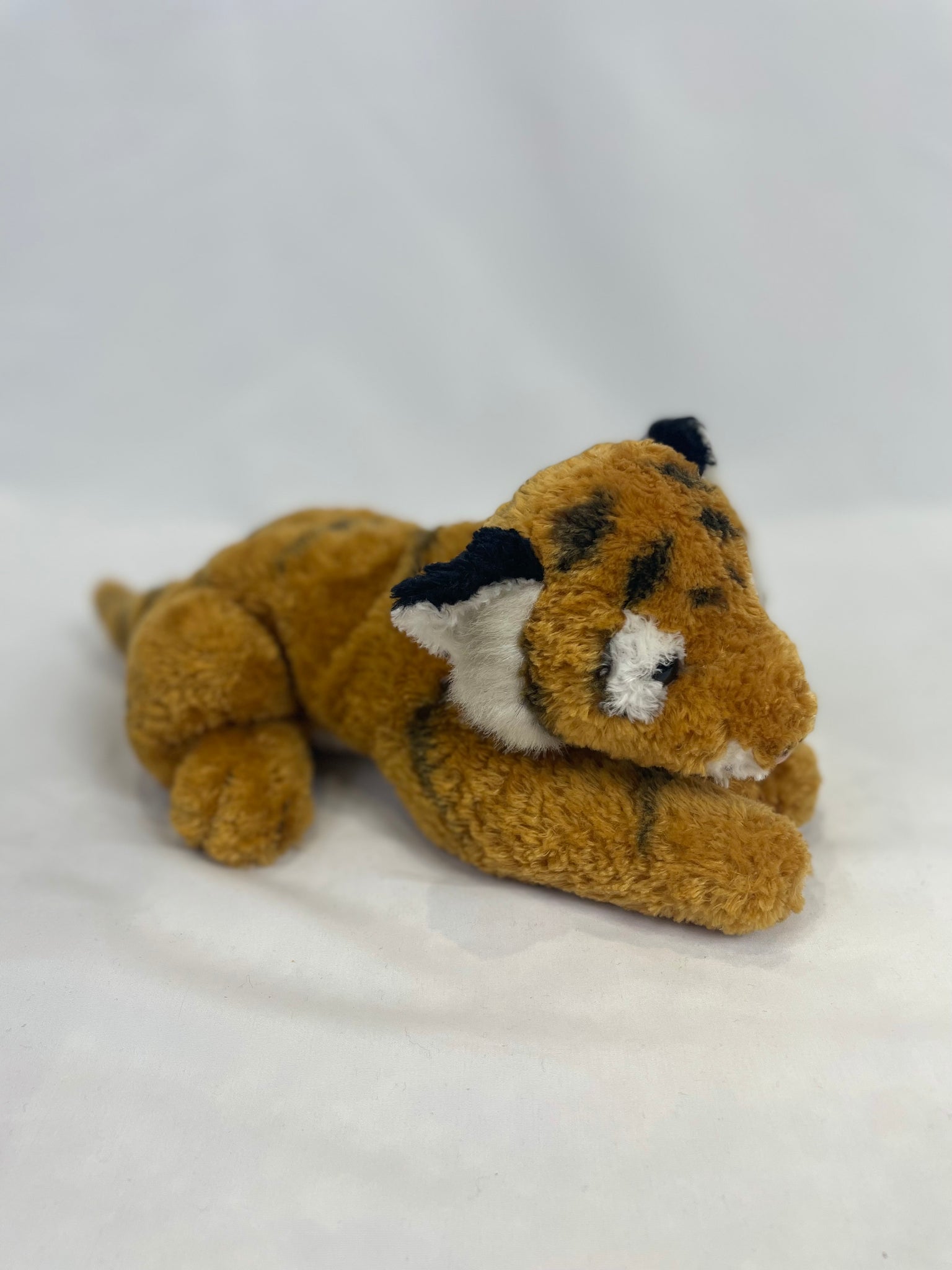 Teddy