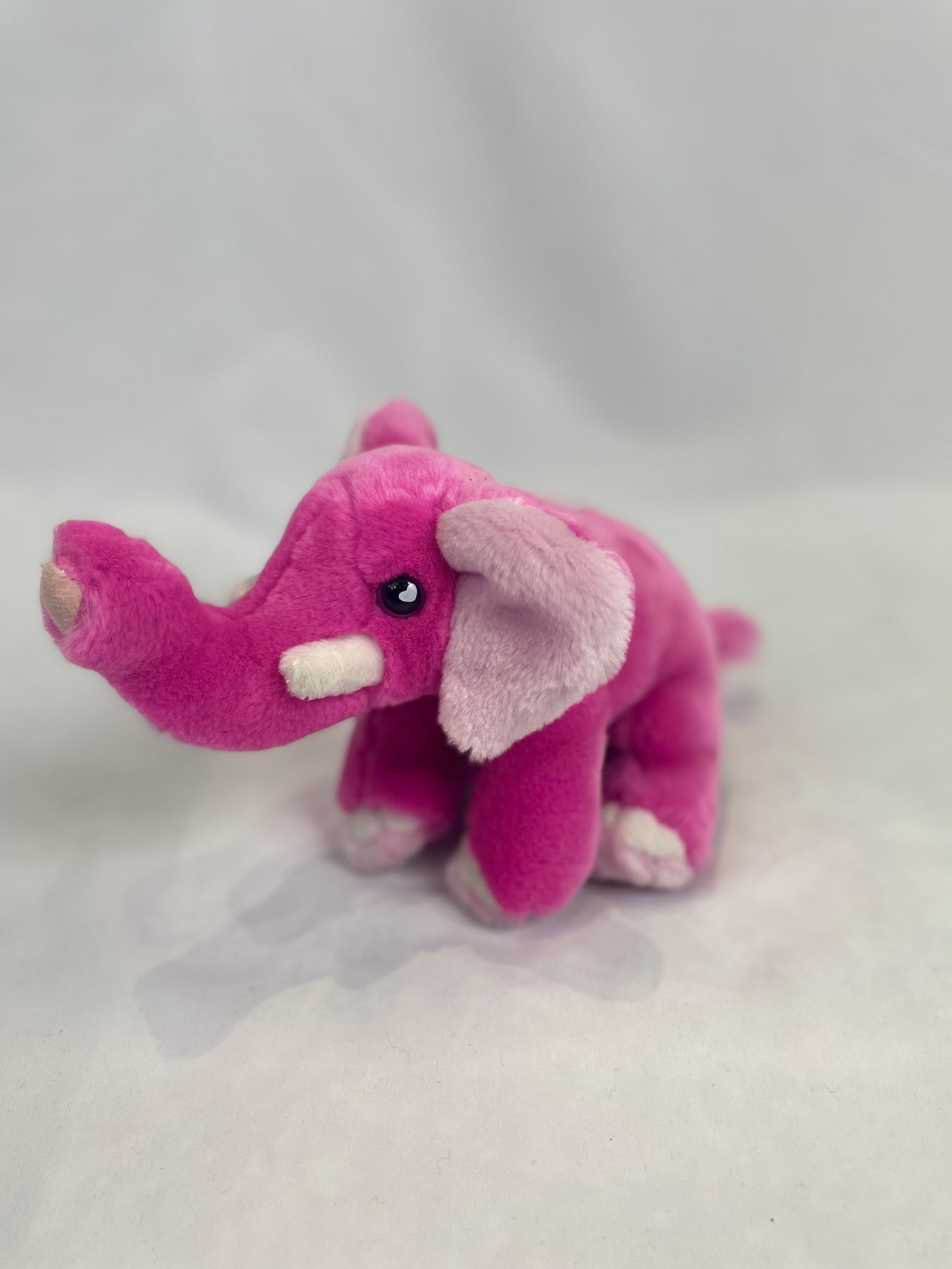 Pinky