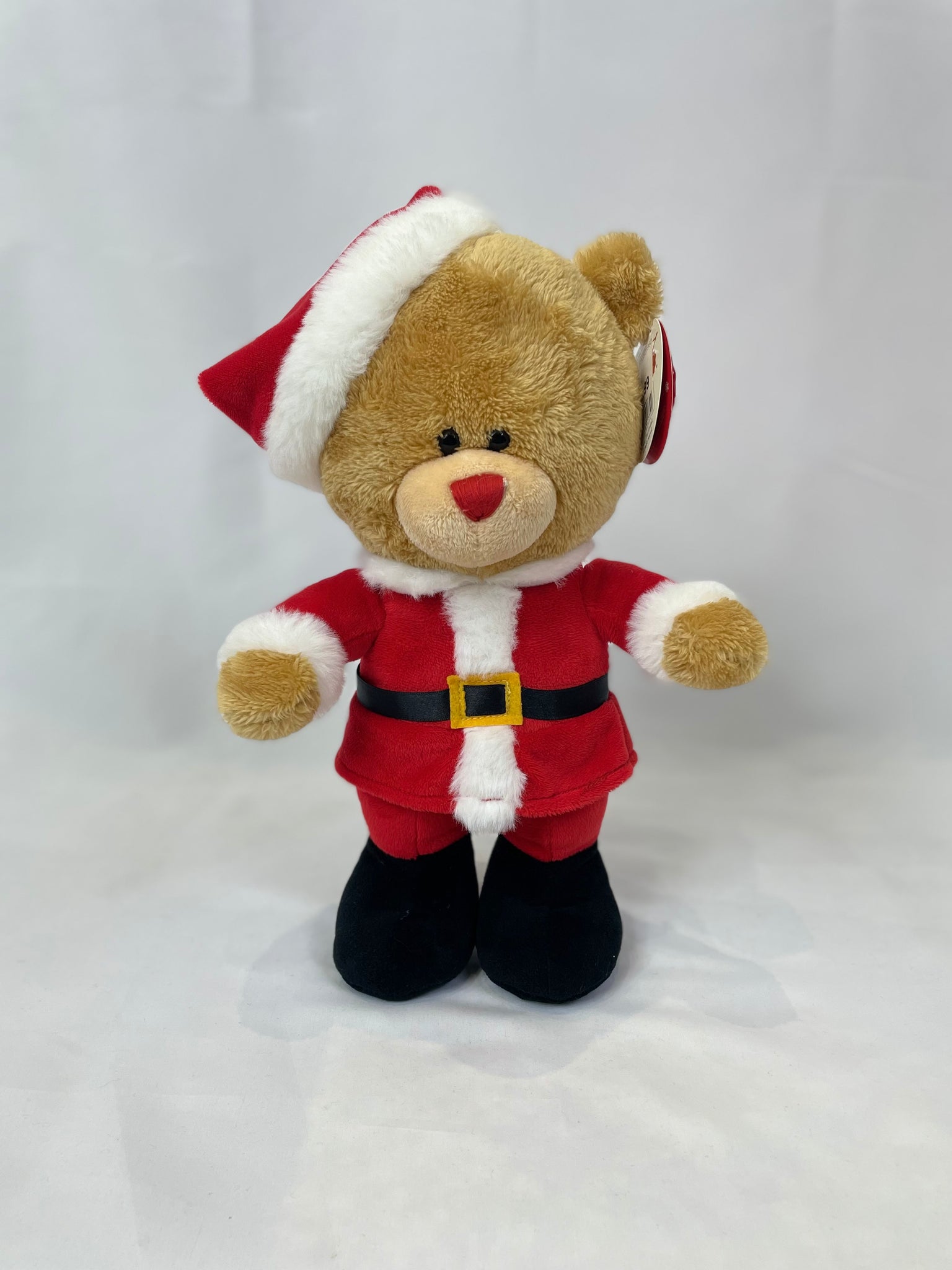 Santa Bear