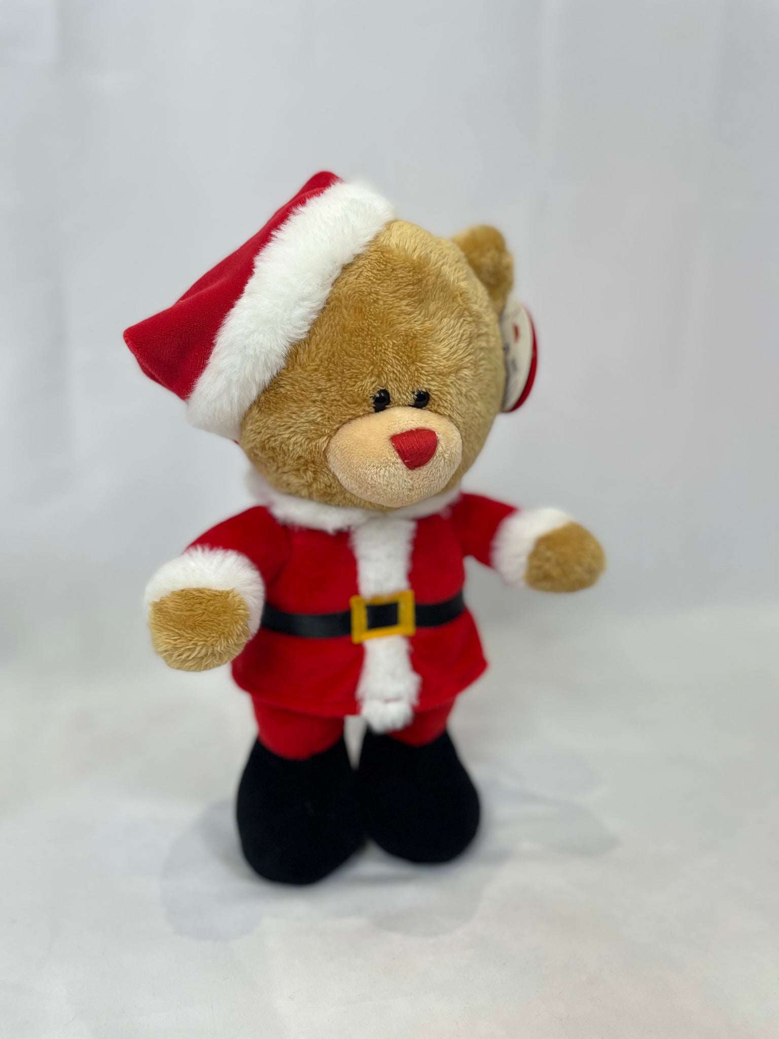 Santa Bear