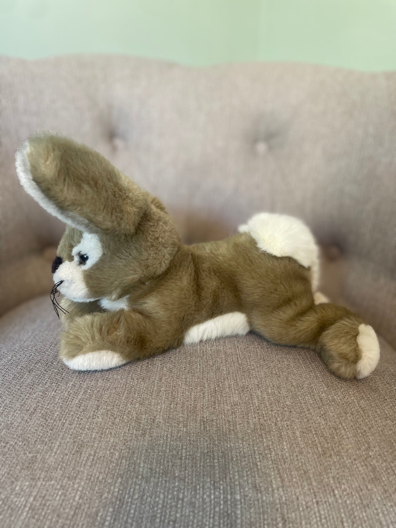 Thistle the Bunny