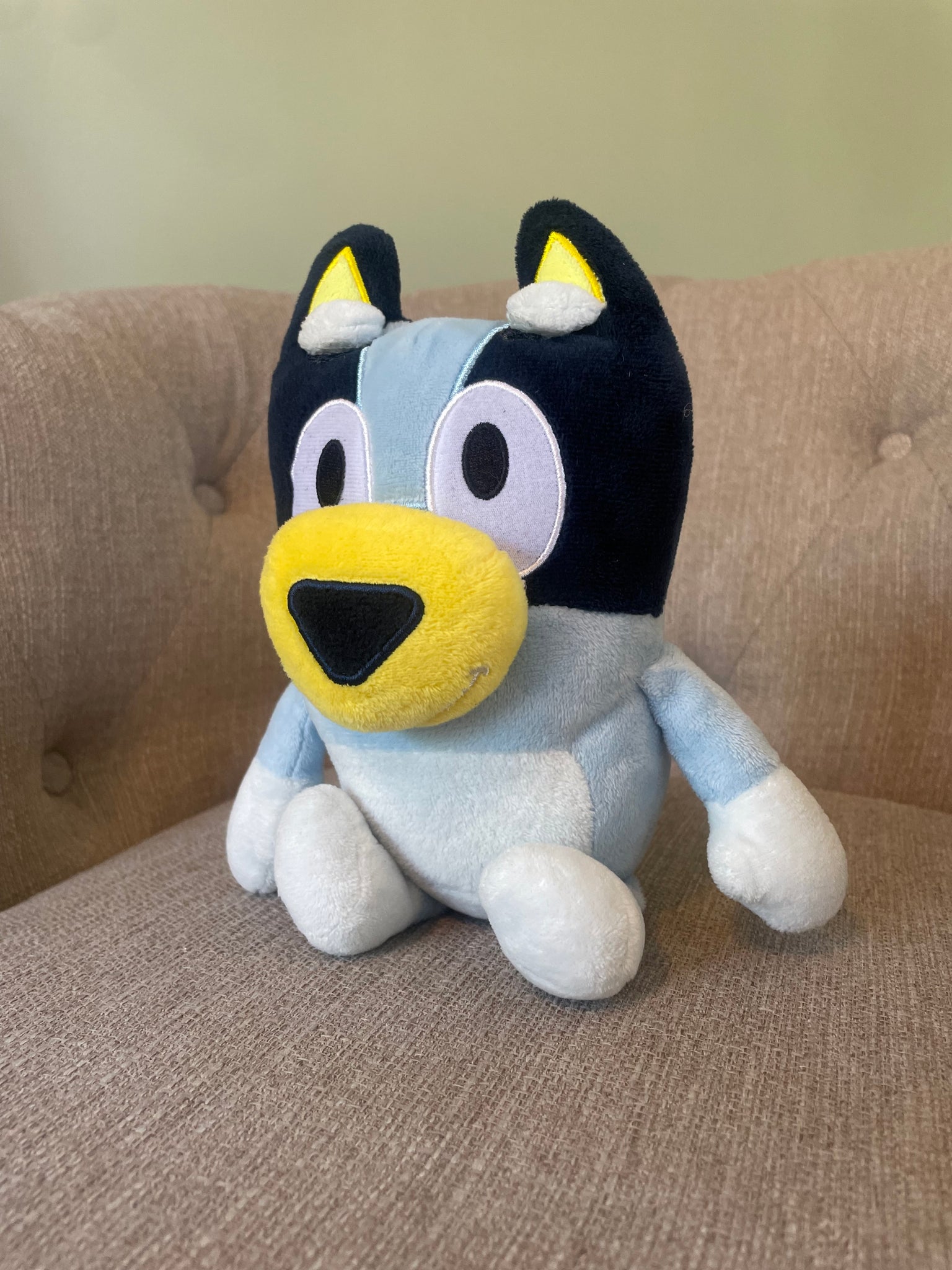 Bluey
