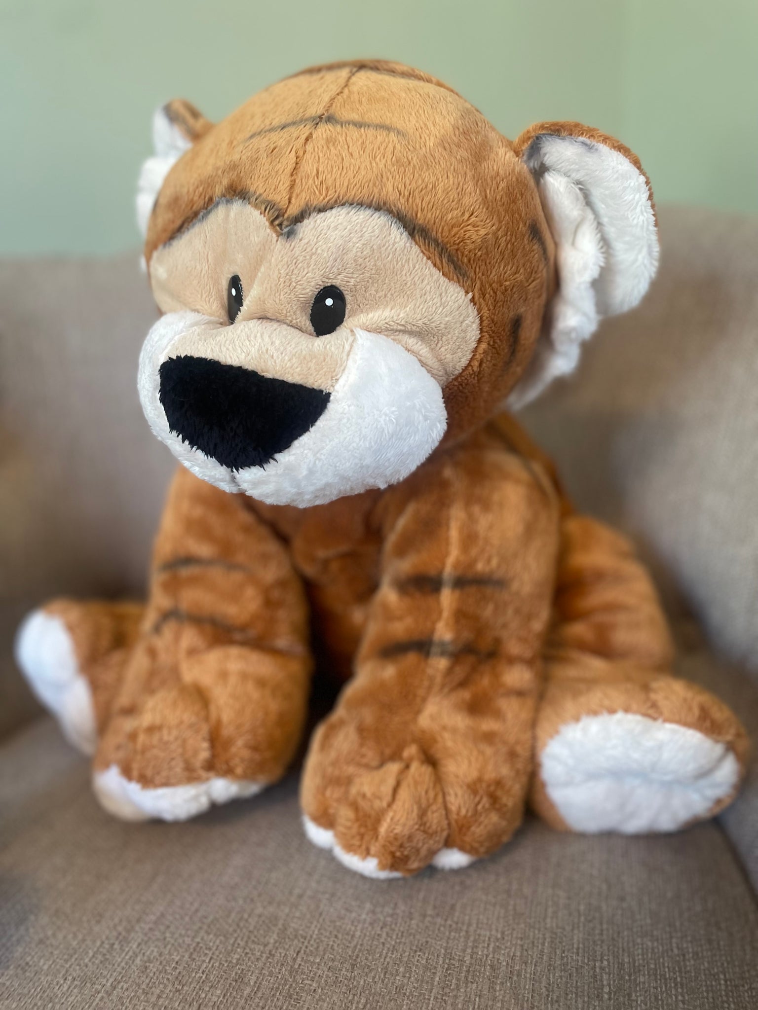 Tiggy
