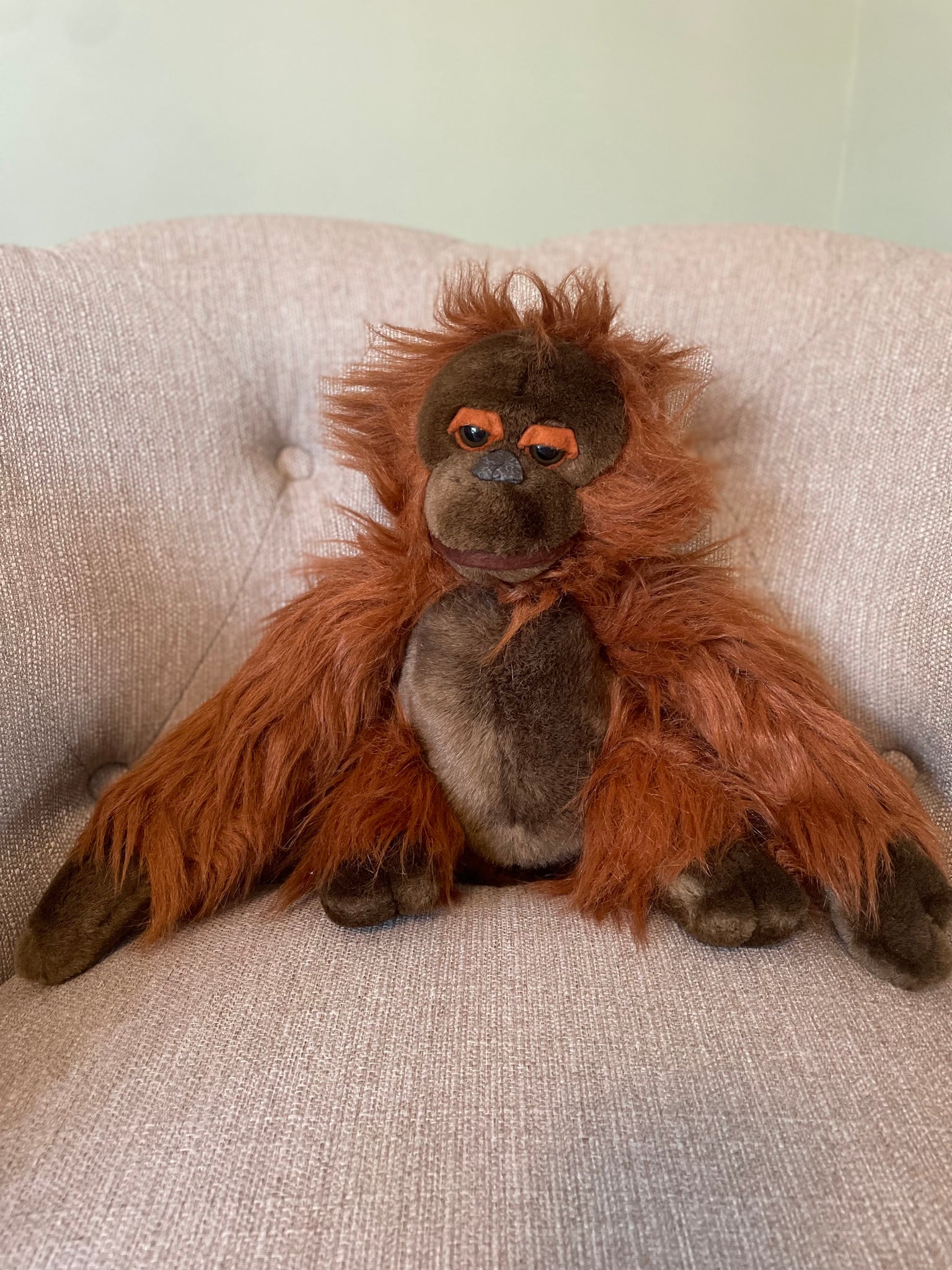 Professor Orangustein