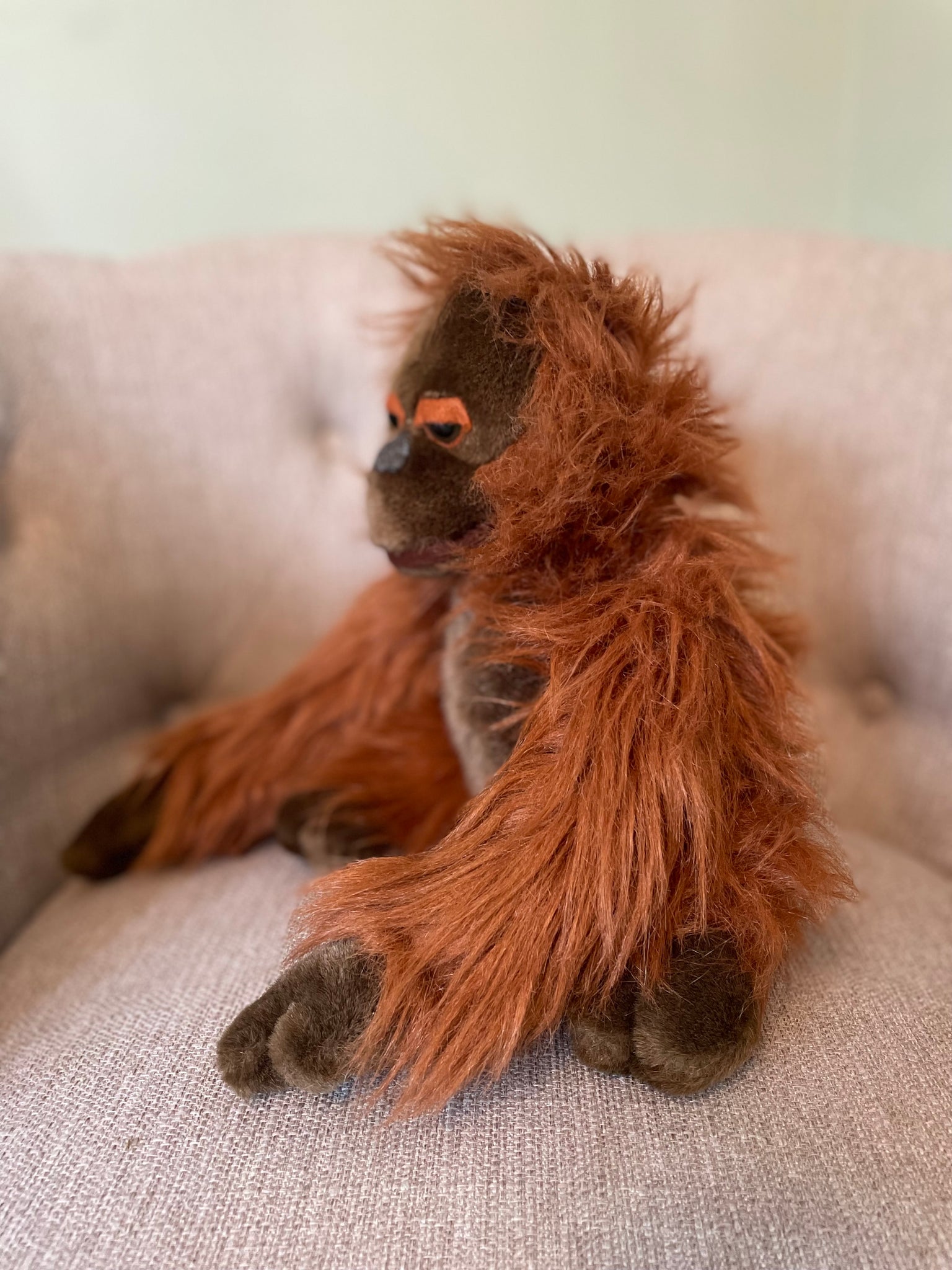 Professor Orangustein