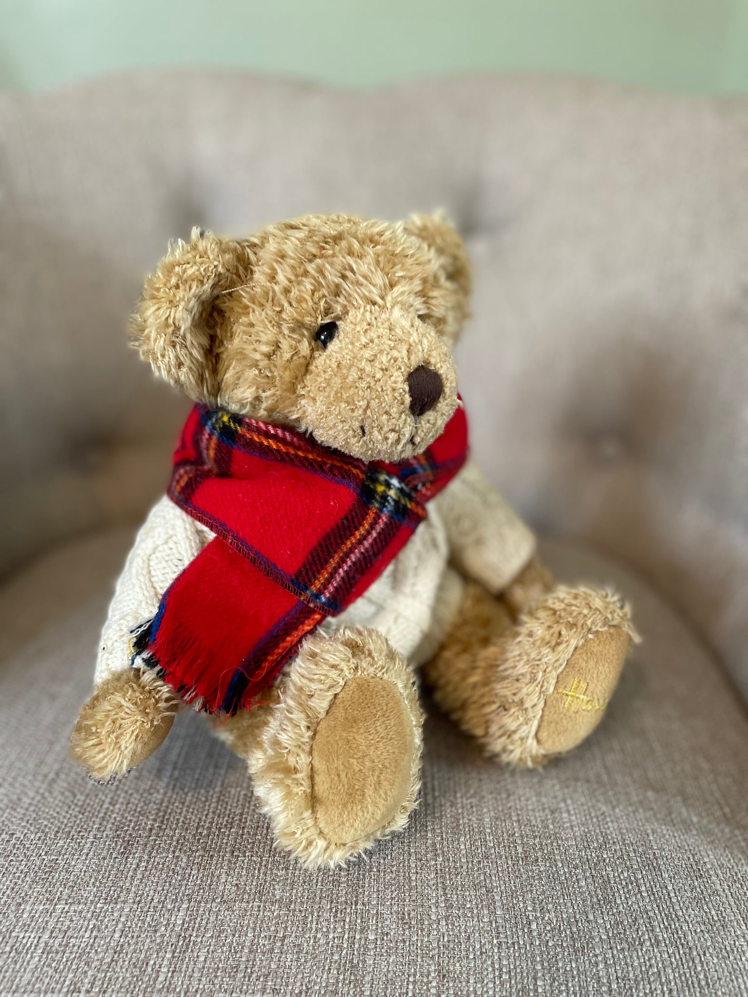 Cosy Beary