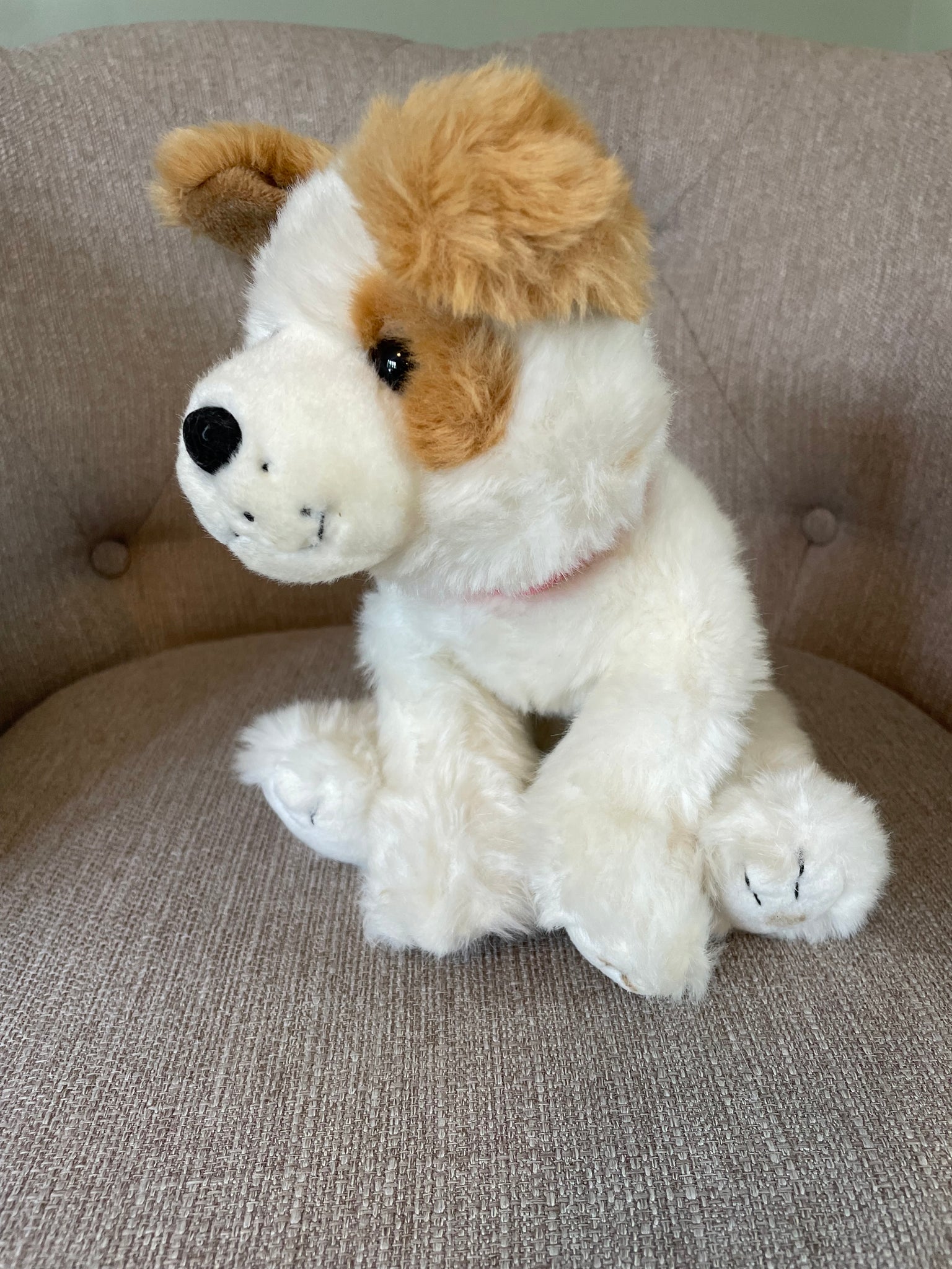 Fluffington “Fluffy” Pawsworth