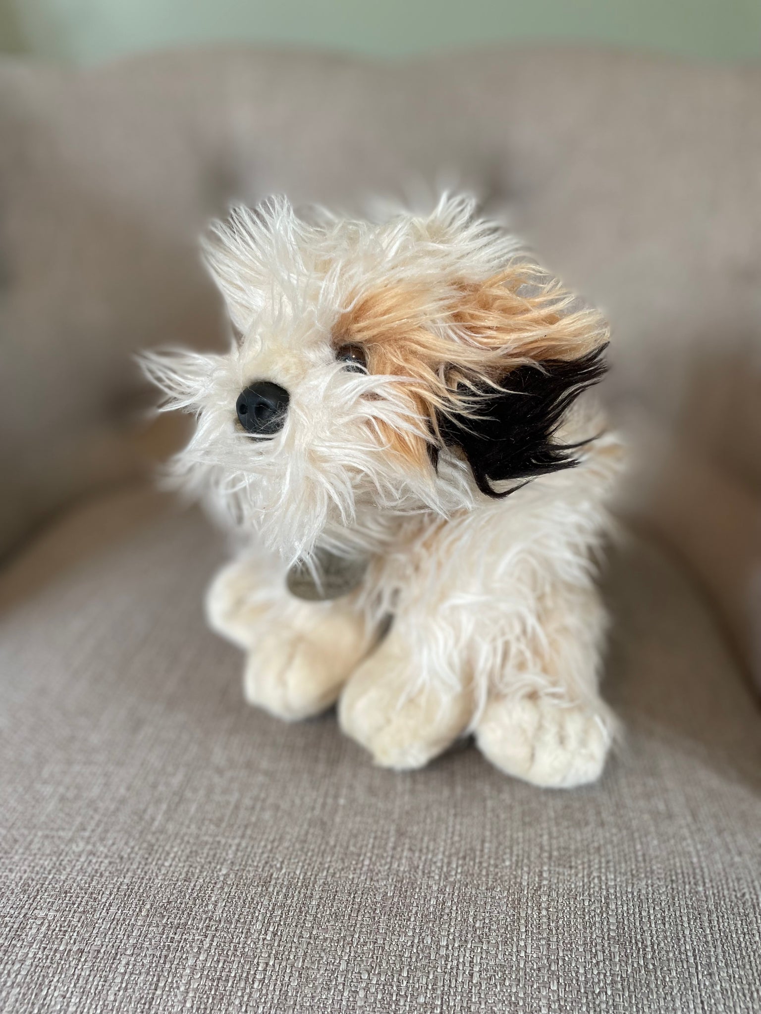 Ruffles “Scruff” McMuffin