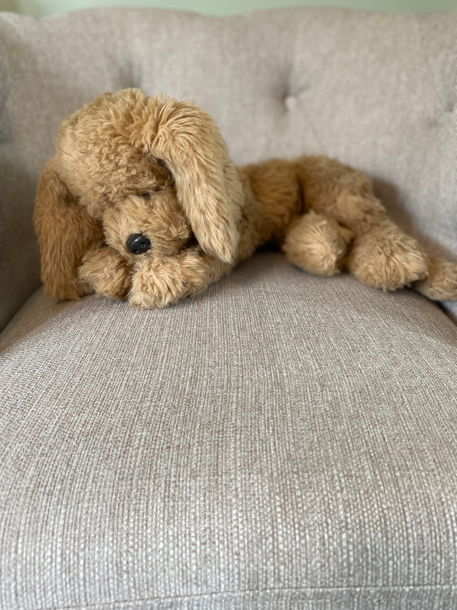 Mocha “Muffin” Snugglepaws