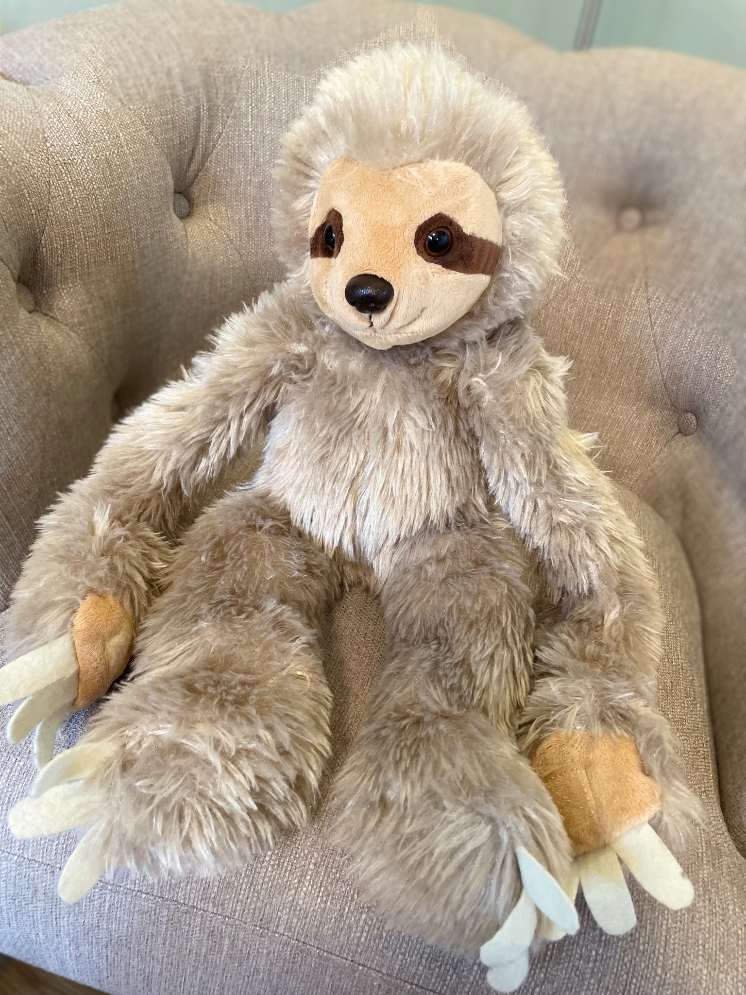 Mellow the Sloth