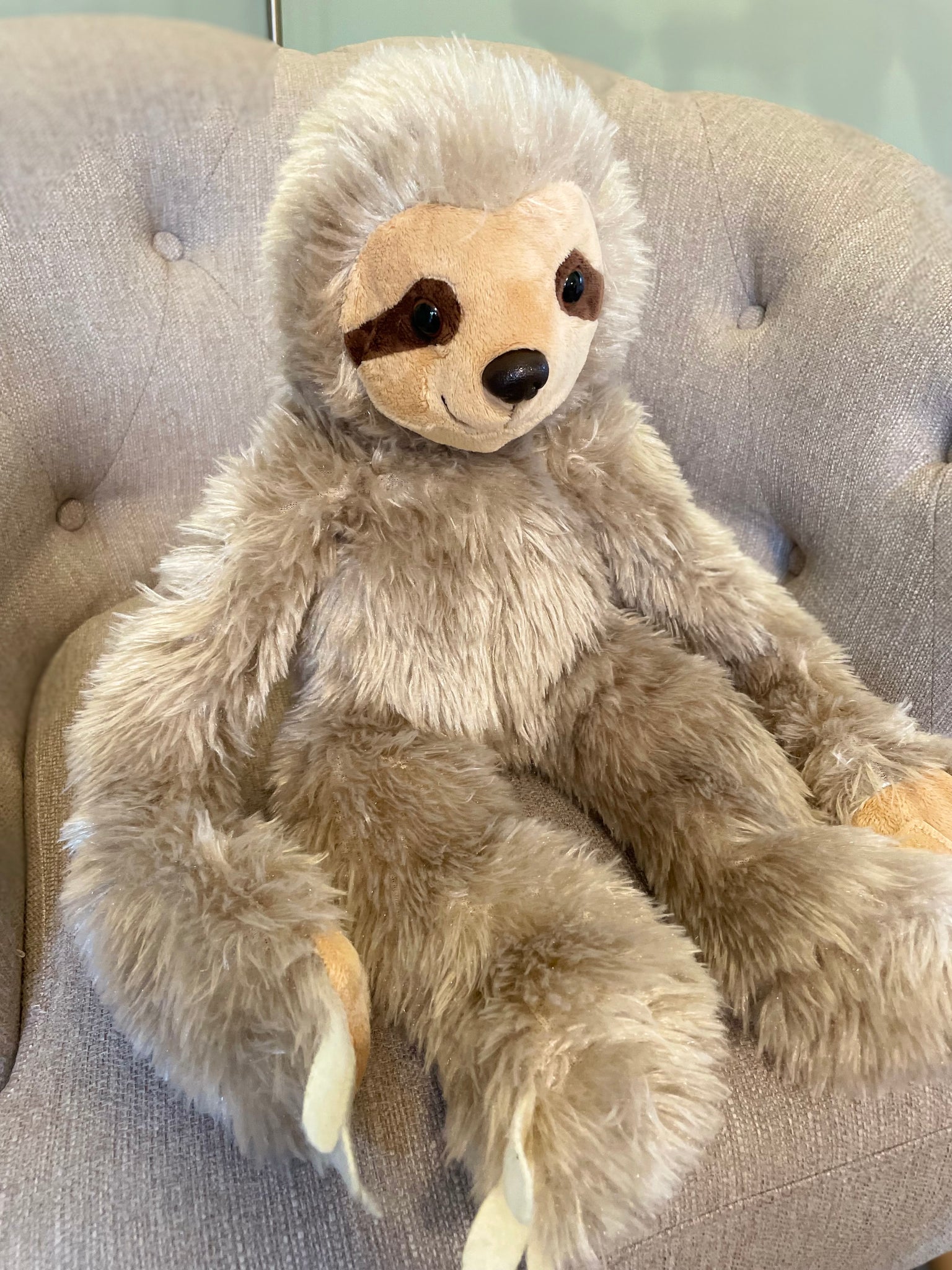 Mellow the Sloth