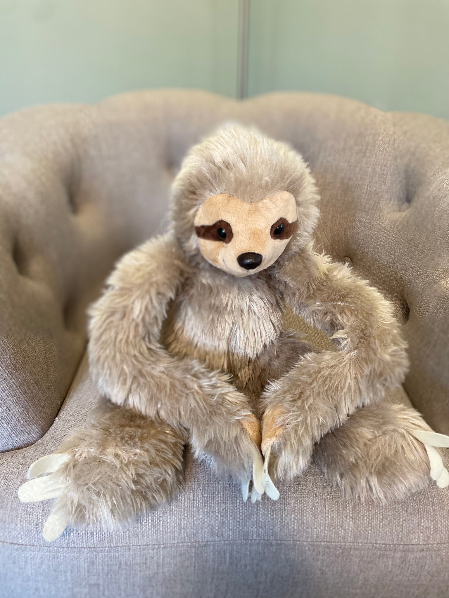 Mellow the Sloth