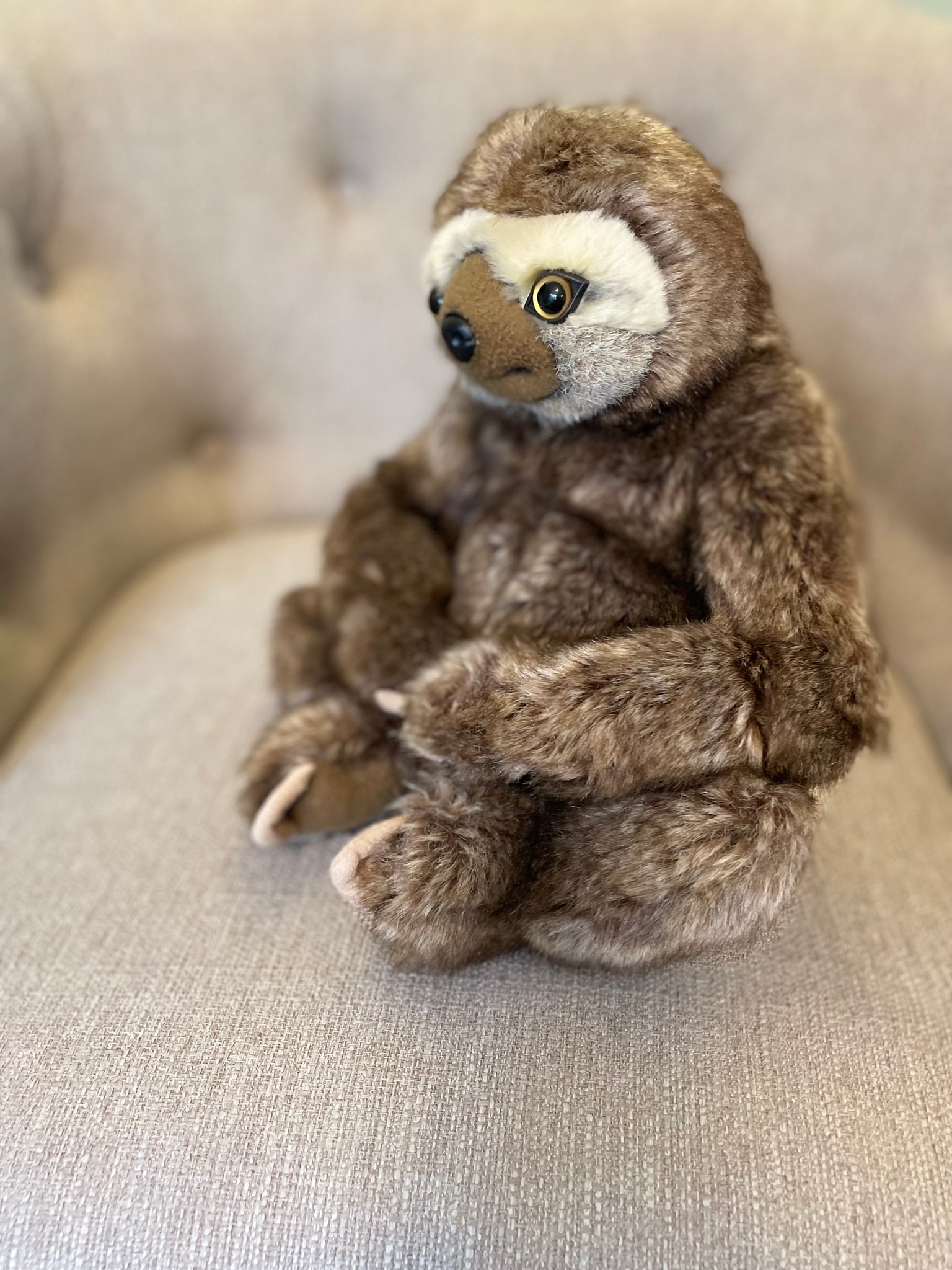 Sage the Sloth
