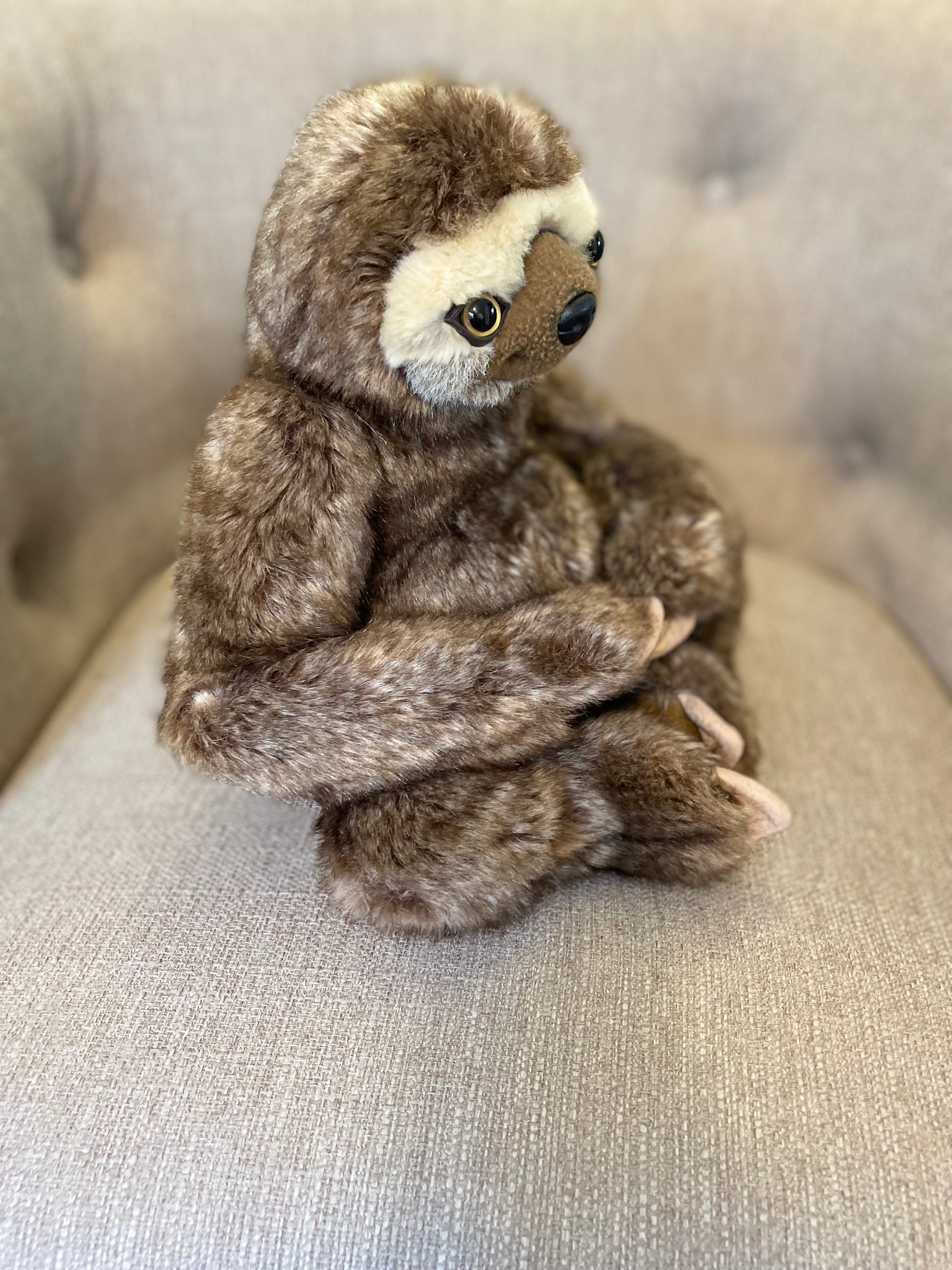 Sage the Sloth