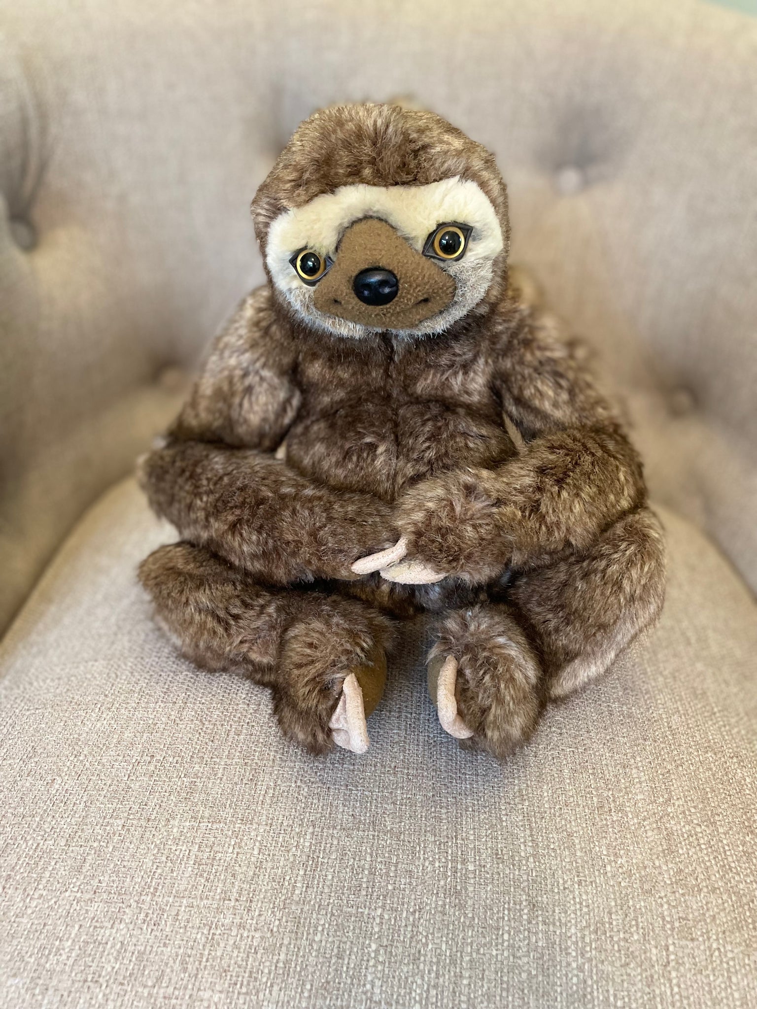 Sage the Sloth