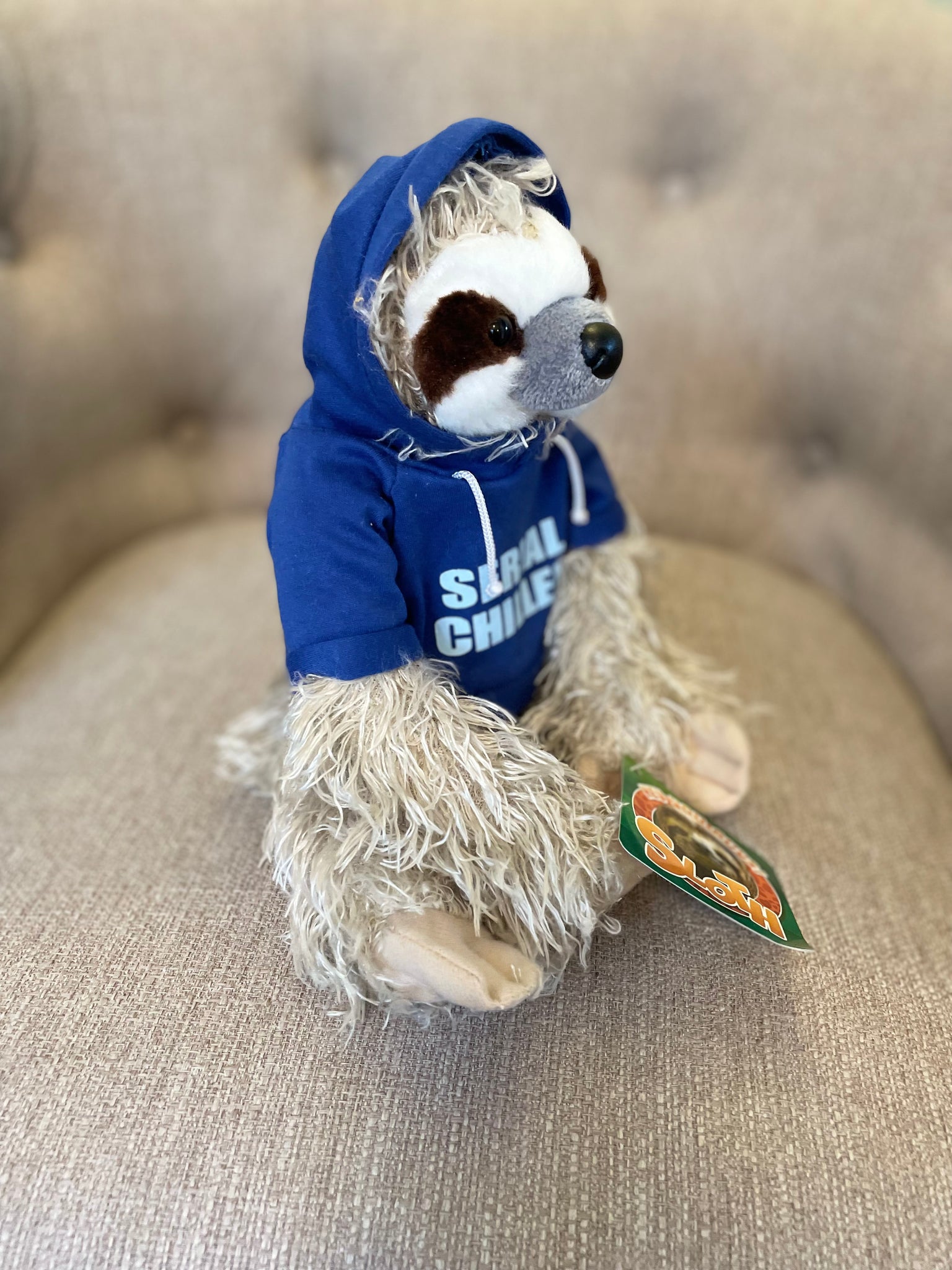 Chill the Sloth