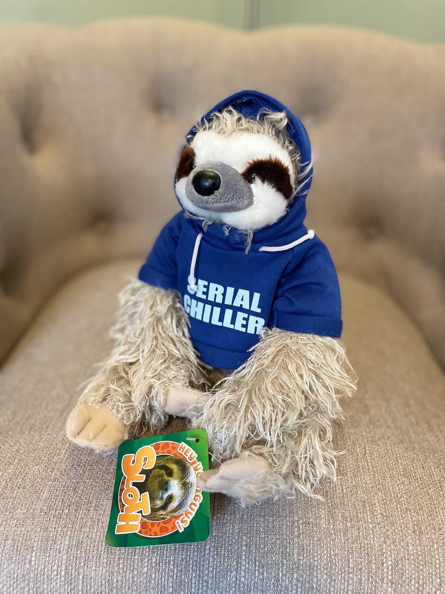 Chill the Sloth