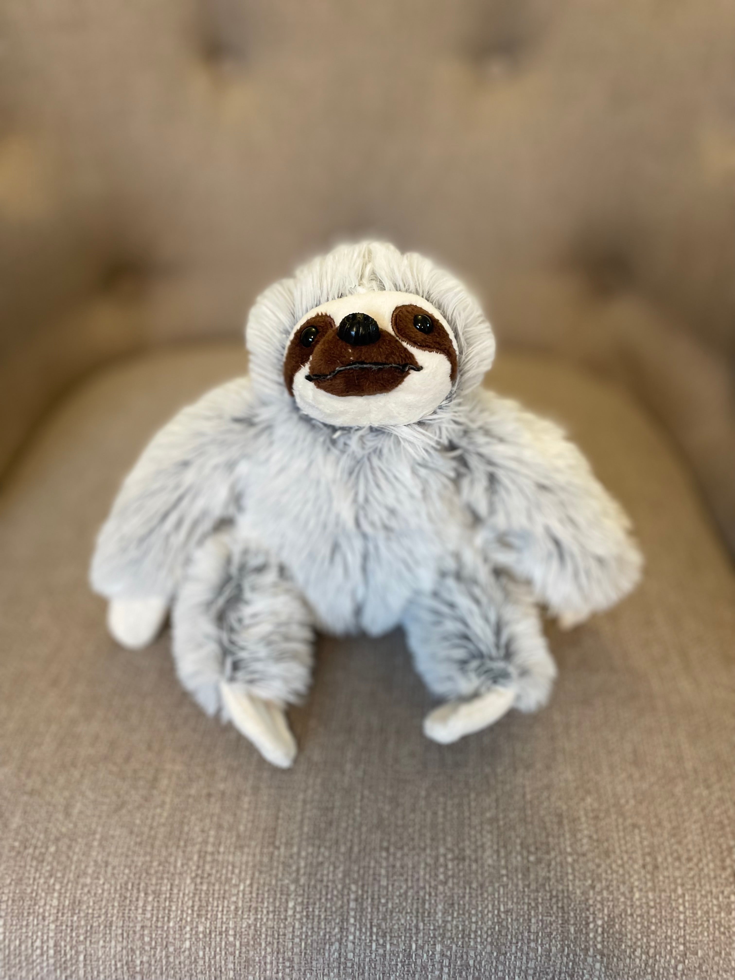 Drift the Sloth