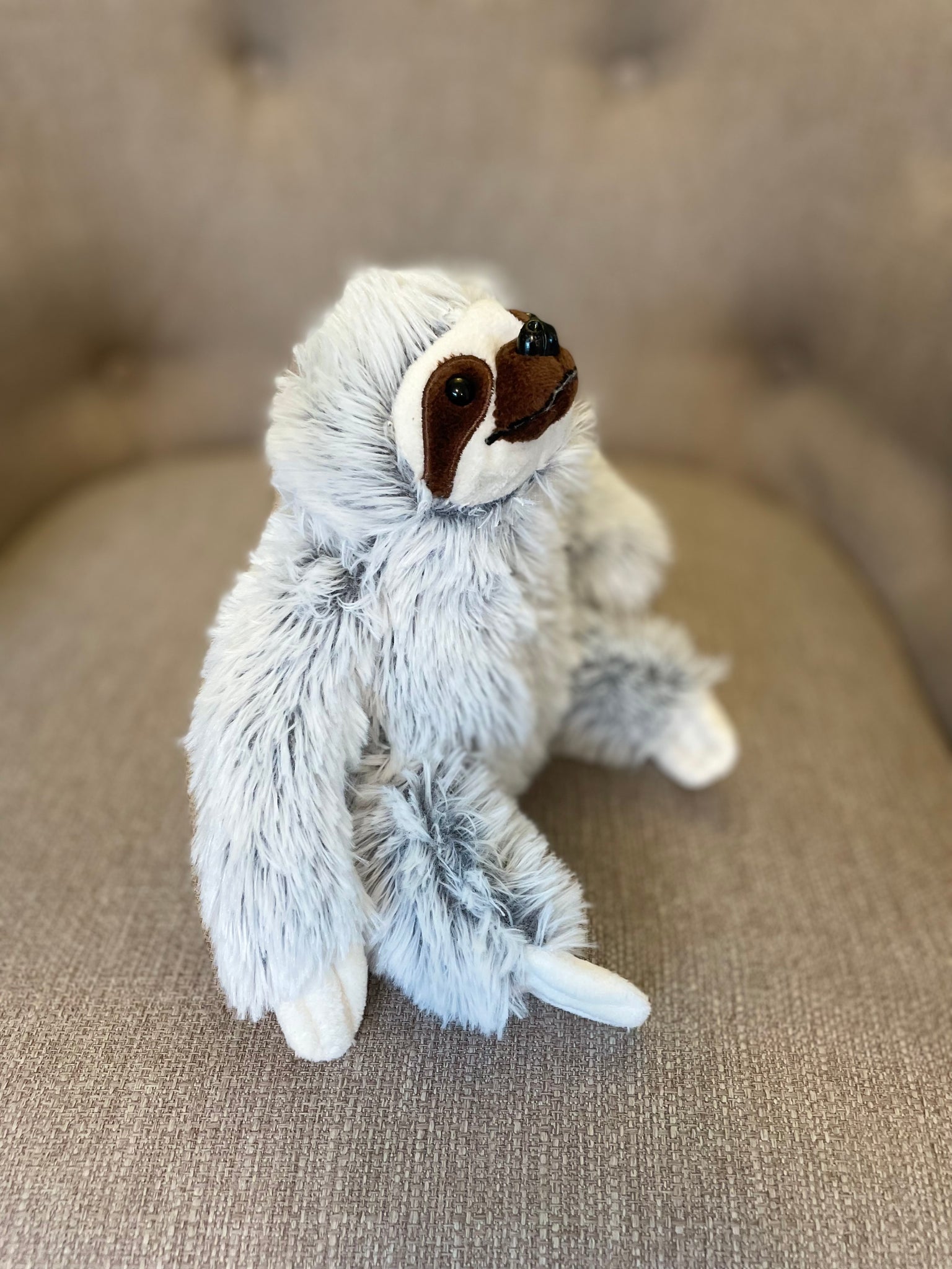 Drift the Sloth
