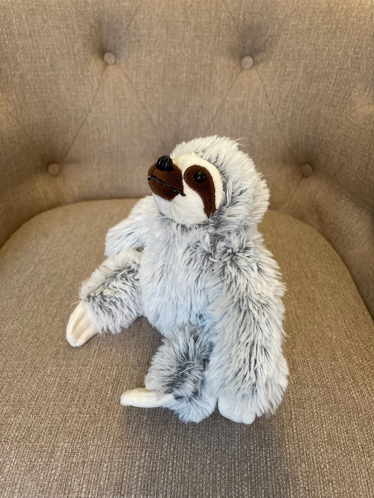 Drift the Sloth