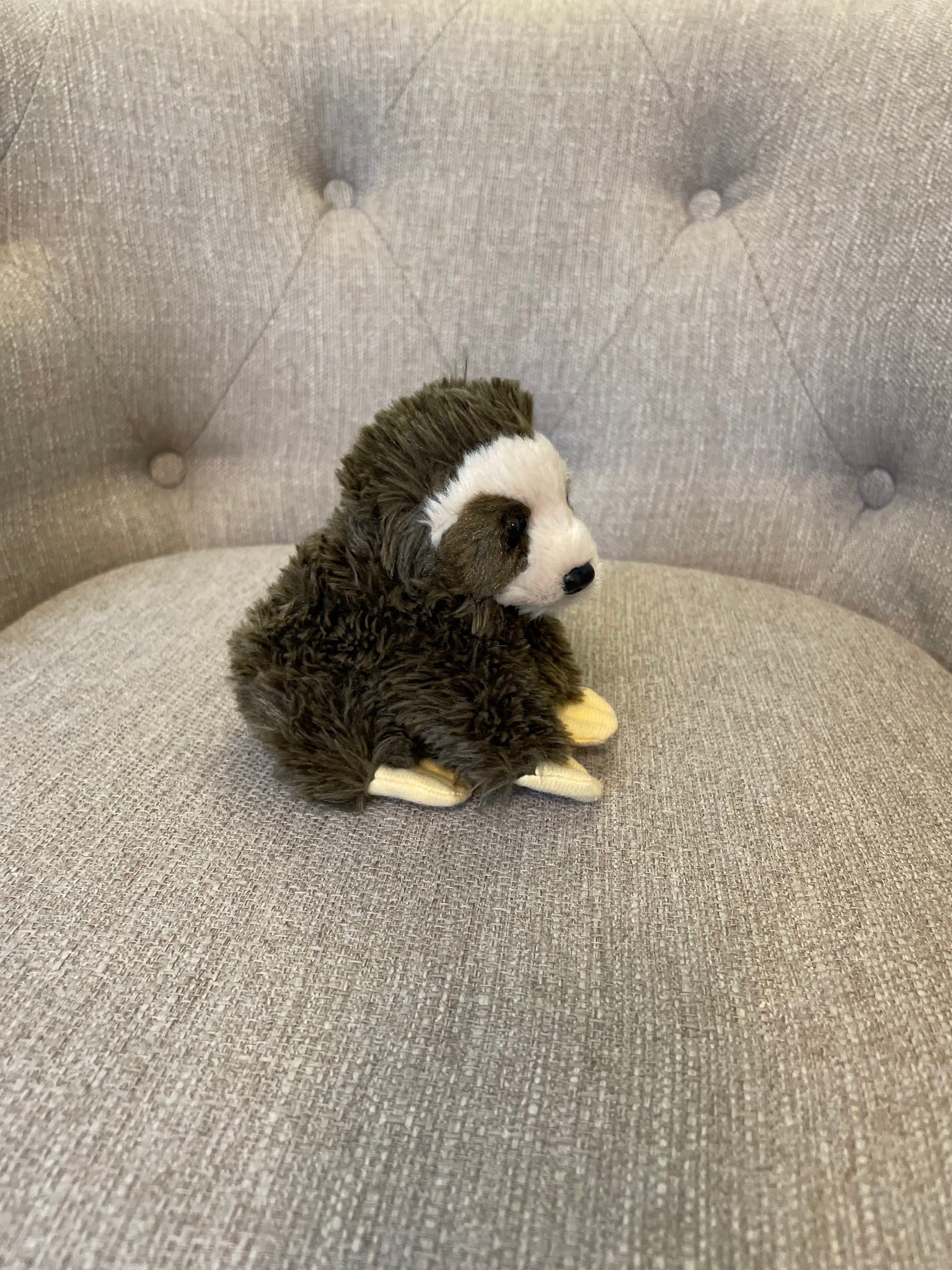 Nibbles the Sloth